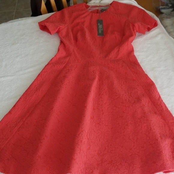 Lela Rose Floral Imprint Coral Seamed Dress - Picture 6 of 8